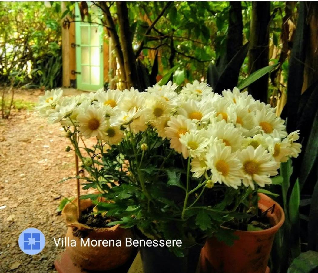 Villa Morena Benessere Florianópolis Exterior foto